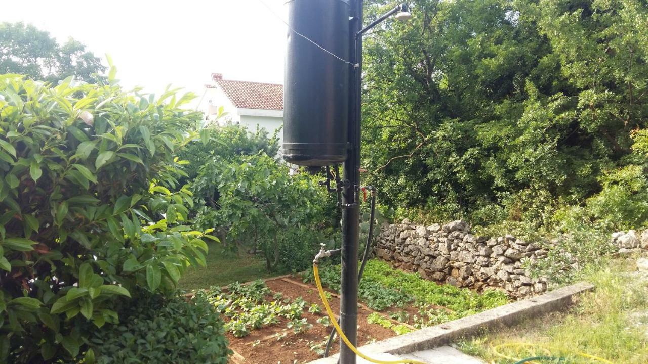 קראליביצה Apartman Ana מראה חיצוני תמונה
